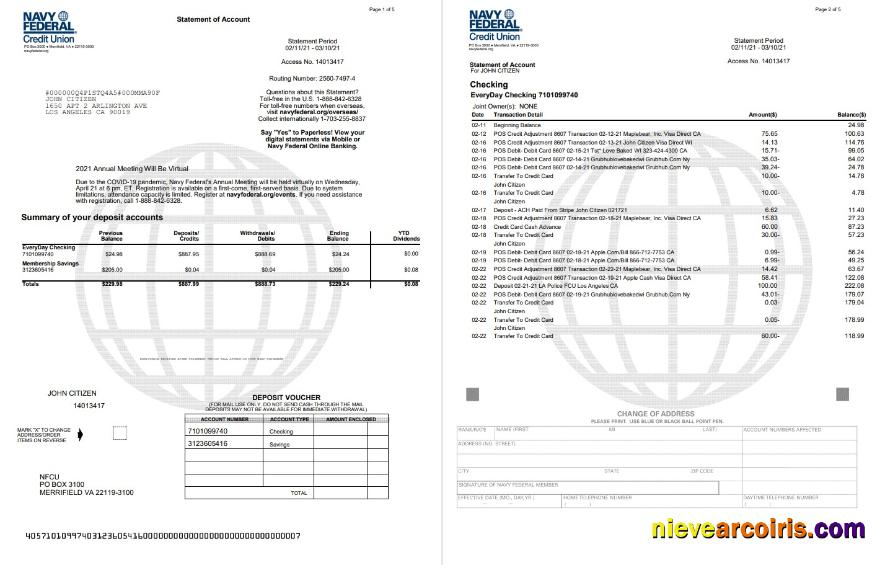 USA Navy Federal Union word 5 pages